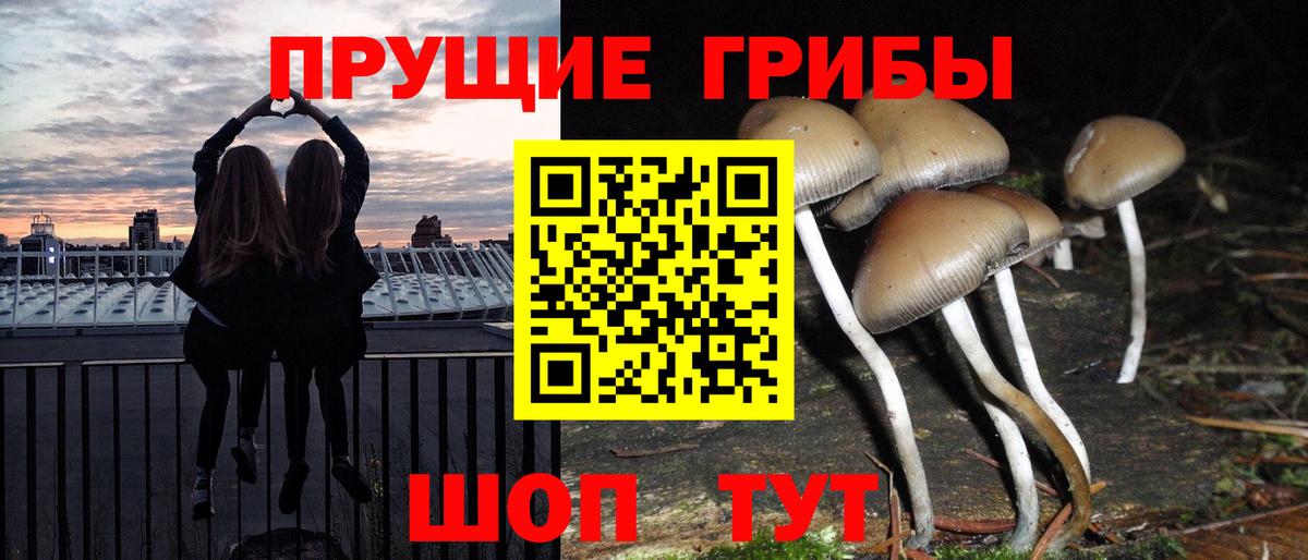 Псилоцибиновые грибы ЛСД  Вход с VPN  Еманжелинск 